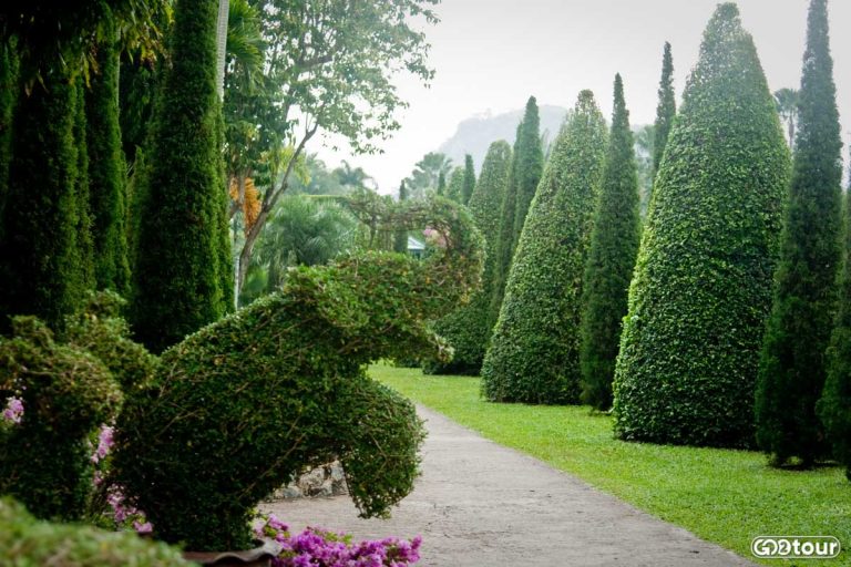 французский сад в парке Нонг Нуч
