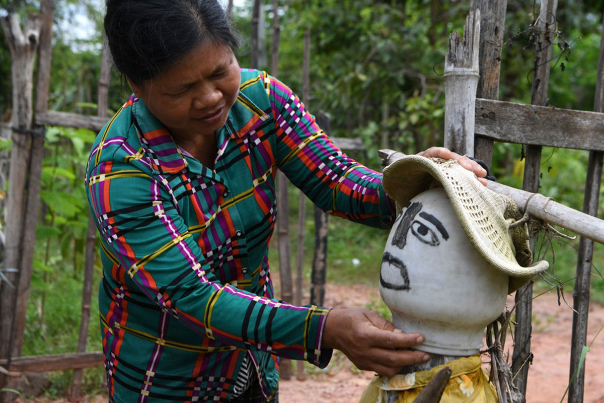 В селах Камбоджи борются против коронавируса чучелами, которые должны отгонять злых духов и болезни.